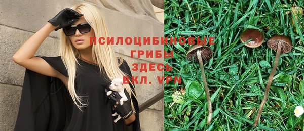 марки nbome Горняк