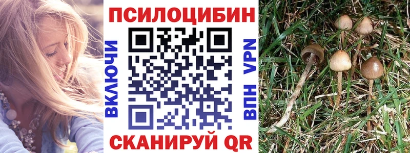 Галлюциногенные грибы Cubensis где купить Балей
